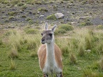 torres del paine